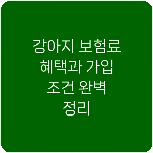 강아지 보험료 혜택과 가입 조건 완벽 정리