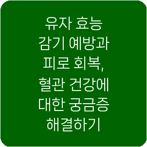 유자 효능 감기 예방과 피로 회복, 혈관 건강에 대한 궁금증 해결하기