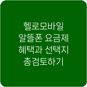 헬로모바일 알뜰폰 요금제 혜택과 선택지 총검토하기