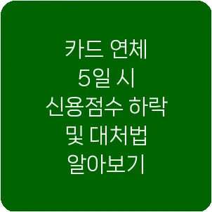 카드 연체 5일 시 신용점수 하락 및 대처법 알아보기