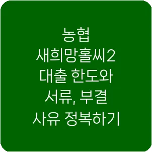 농협 새희망홀씨2 대출 한도와 서류, 부결 사유 정복하기