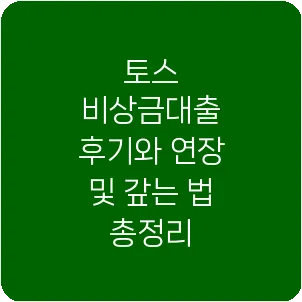 토스 비상금대출 후기와 연장 및 갚는 법 총정리