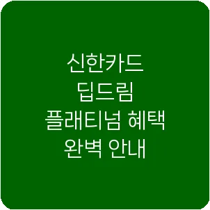 신한카드 딥드림 플래티넘 혜택 완벽 안내