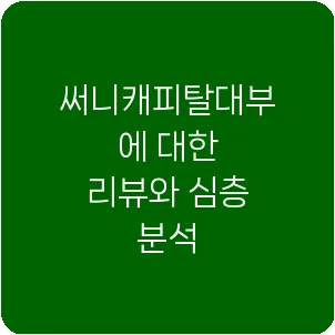 써니캐피탈대부에 대한 리뷰와 심층 분석