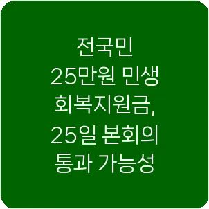 전국민 25만원 민생회복지원금, 25일 본회의 통과 가능성