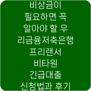 비상금이 필요하면 꼭 알아야 할 우리금융저축은행 프리랜서 비타원 긴급대출 신청법과 후기