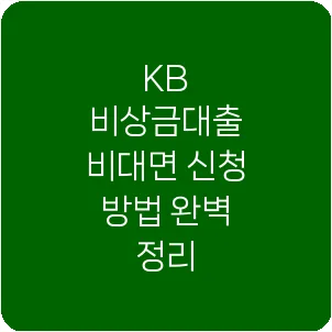 KB 비상금대출 비대면 신청 방법 완벽 정리