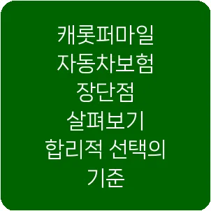 캐롯퍼마일 자동차보험 장단점 살펴보기 합리적 선택의 기준