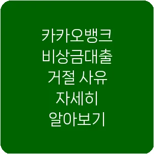 카카오뱅크 비상금대출 거절 사유 자세히 알아보기