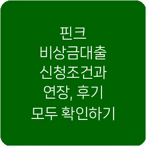 핀크 비상금대출 신청조건과 연장, 후기 모두 확인하기