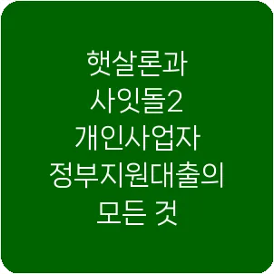 햇살론과 사잇돌2 개인사업자 정부지원대출의 모든 것