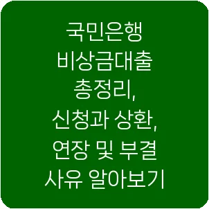국민은행 비상금대출 총정리, 신청과 상환, 연장 및 부결 사유 알아보기