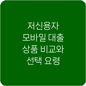 저신용자 모바일 대출 상품 비교와 선택 요령