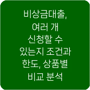 비상금대출, 여러 개 신청할 수 있는지 조건과 한도, 상품별 비교 분석