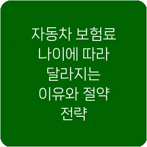자동차 보험료 나이에 따라 달라지는 이유와 절약 전략