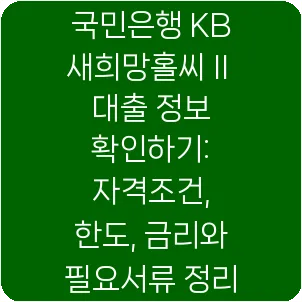 국민은행 KB 새희망홀씨Ⅱ 대출 정보 확인하기: 자격조건, 한도, 금리와 필요서류 정리