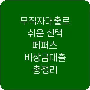 무직자대출로 쉬운 선택 페퍼스 비상금대출 총정리