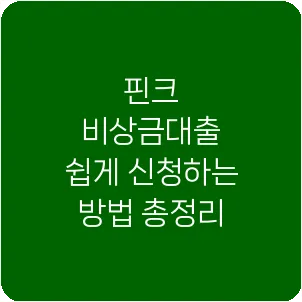 핀크 비상금대출 쉽게 신청하는 방법 총정리