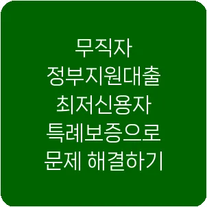 무직자 정부지원대출 최저신용자 특례보증으로 문제 해결하기