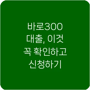 바로300 대출, 이것 꼭 확인하고 신청하기