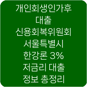 개인회생인가후대출 신용회복위원회 서울특별시 한강론 3% 저금리 대출 정보 총정리