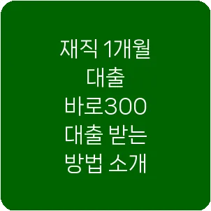재직 1개월 대출 바로300 대출 받는 방법 소개