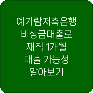 예가람저축은행 비상금대출로 재직 1개월 대출 가능성 알아보기