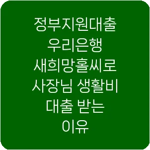 정부지원대출 우리은행 새희망홀씨로 사장님 생활비 대출 받는 이유