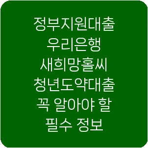 정부지원대출 우리은행 새희망홀씨 청년도약대출 꼭 알아야 할 필수 정보