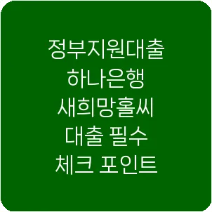 정부지원대출 하나은행 새희망홀씨 대출 필수 체크 포인트