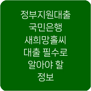 정부지원대출 국민은행 새희망홀씨 대출 필수로 알아야 할 정보