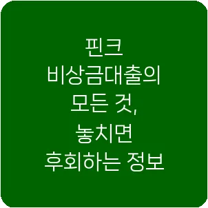 핀크 비상금대출의 모든 것, 놓치면 후회하는 정보