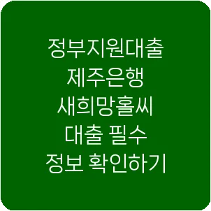 정부지원대출 제주은행 새희망홀씨 대출 필수 정보 확인하기