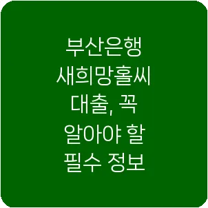 부산은행 새희망홀씨 대출, 꼭 알아야 할 필수 정보