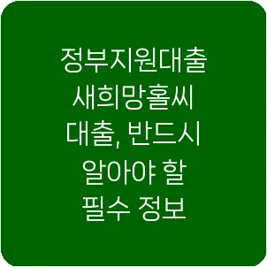 정부지원대출 새희망홀씨 대출, 반드시 알아야 할 필수 정보