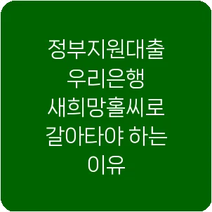 정부지원대출 우리은행 새희망홀씨로 갈아타야 하는 이유