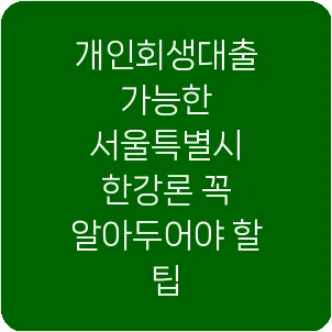개인회생대출 가능한 서울특별시 한강론 꼭 알아두어야 할 팁