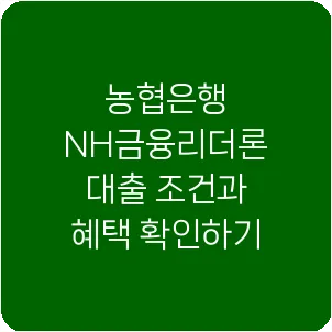 농협은행 NH금융리더론 대출 조건과 혜택 확인하기
