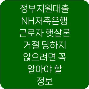 정부지원대출 NH저축은행 근로자 햇살론 거절 당하지 않으려면 꼭 알아야 할 정보
