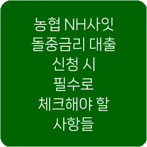농협 NH사잇돌중금리 대출 신청 시 필수로 체크해야 할 사항들