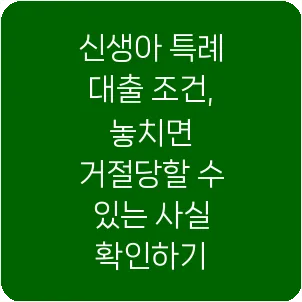 신생아 특례 대출 조건, 놓치면 거절당할 수 있는 사실 확인하기