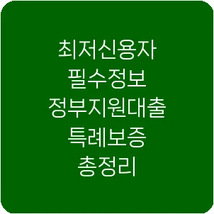최저신용자 필수정보 정부지원대출 특례보증 총정리