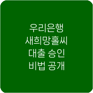우리은행 새희망홀씨 대출 승인 비법 공개