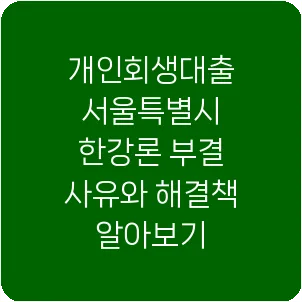 개인회생대출 서울특별시 한강론 부결 사유와 해결책 알아보기