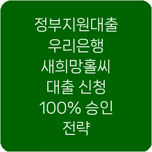 정부지원대출 우리은행 새희망홀씨 대출 신청 100% 승인 전략
