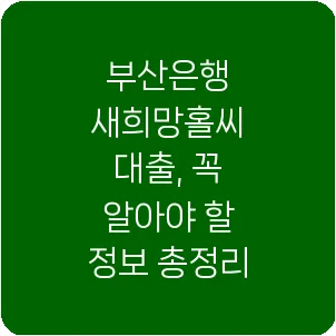 부산은행 새희망홀씨 대출, 꼭 알아야 할 정보 총정리