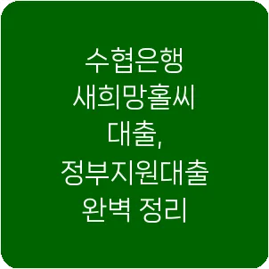 수협은행 새희망홀씨 대출, 정부지원대출 완벽 정리