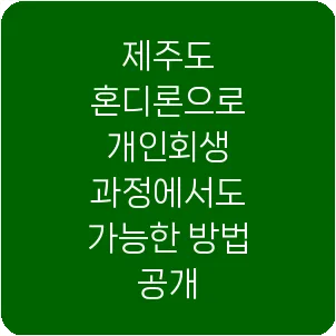 제주도 혼디론으로 개인회생 과정에서도 가능한 방법 공개