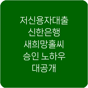 저신용자대출 신한은행 새희망홀씨 승인 노하우 대공개