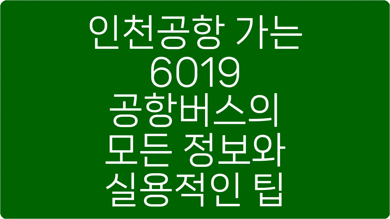 인천공항 가는 6019 공항버스의 모든 정보와 실용적인 팁